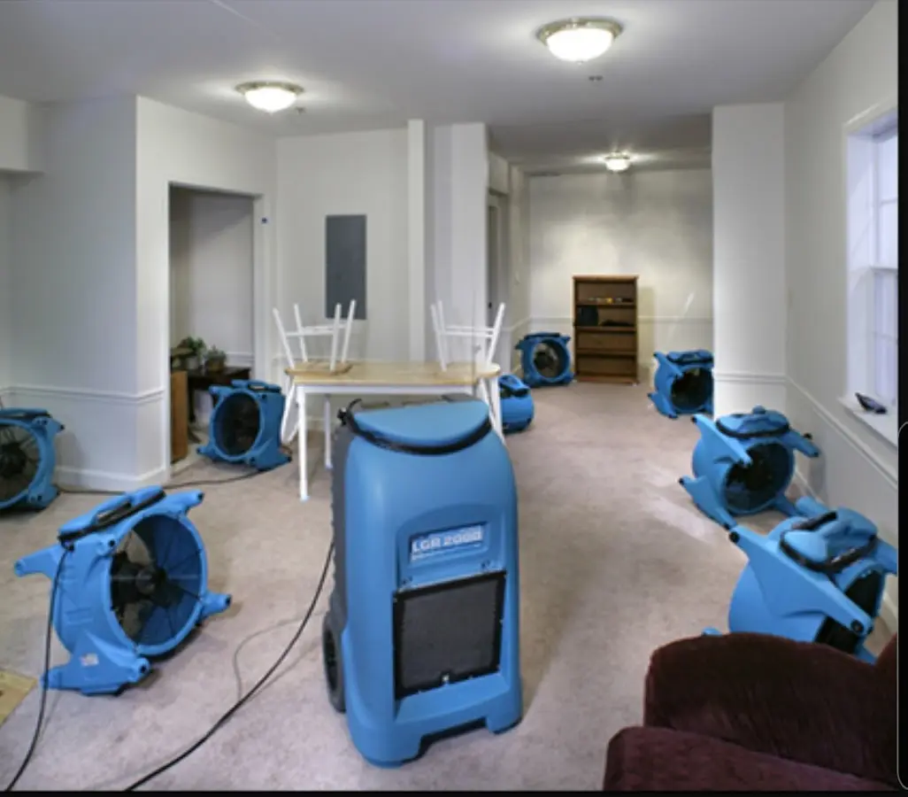 Air movers and dehumidifier setup for Water Extraction & Removal in Wood Dale