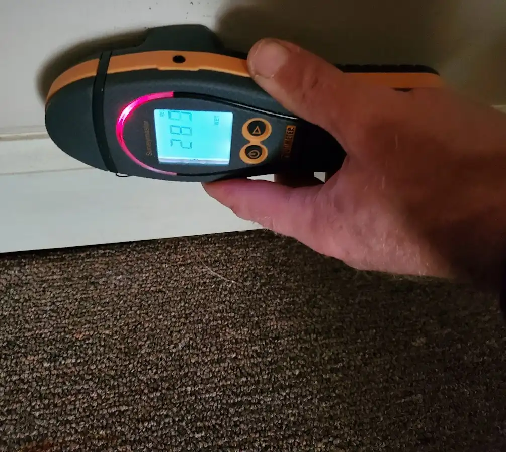 Moisture detection at baseboard during Mold Inspection & Testing in Wood Dale